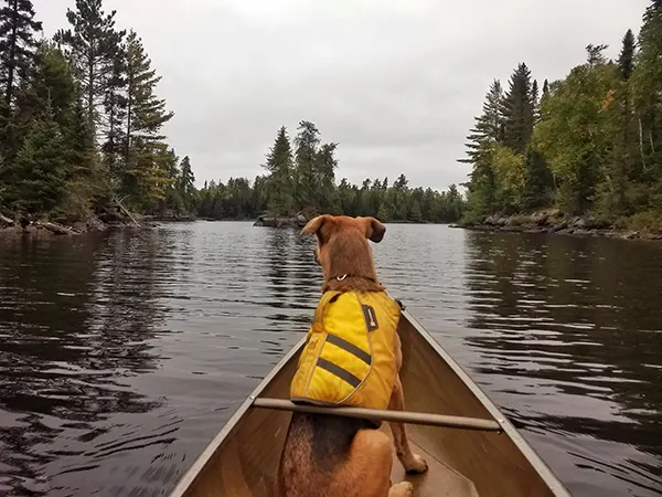 Boundary Waters Picture 30