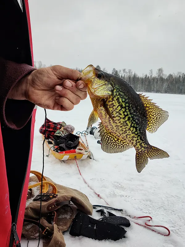 Boundary Waters Picture 32